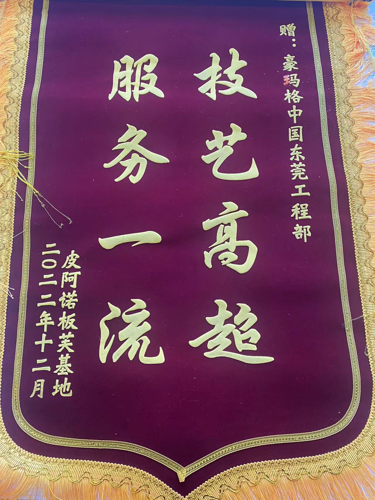DG 锦旗-皮阿诺 202212.jpg